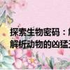 探索生物密碼：解析動物的兇猛天性（關于探索生物密碼：解析動物的兇猛天性簡介）