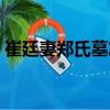 崔廷妻鄭氏墓志（關于崔廷妻鄭氏墓志簡介）