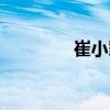 崔小罪（關于崔小罪簡介）