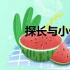 探長與小偷（關于探長與小偷簡介）