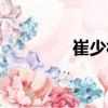 崔少林（關于崔少林簡介）