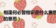 相逢何必曾相識是什么意思(相逢何必曾相識的意思)