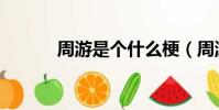 周游是個什么梗(周游的意思)