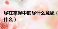 盡在掌握中的盡什么意思(盡在掌握中的盡指什么)