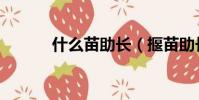 什么苗助長(揠苗助長的由來)