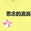 思念的流浪狗（關于思念的流浪狗介紹）