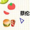 蔡倫簡介（蔡倫主要成就）