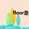 floor是什么意思（floor怎么讀）