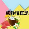 動靜相宜是什么意思（動靜相宜的解釋）