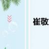 崔敬東（關于崔敬東簡介）