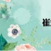 崔斌（關于崔斌簡介）