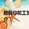 數碼印花工藝教程（關于數碼印花工藝教程簡介）