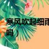 寒風吹起細雨淋漓是什么歌（這首歌你還記得嗎）