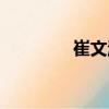 崔文濤（關于崔文濤簡介）
