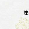 崔曉（關于崔曉簡介）