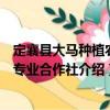 定襄縣大馬種植農民專業合作社（關于定襄縣大馬種植農民專業合作社介紹）