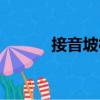 接音坡村（關于接音坡村簡介）