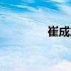 崔成旭（關于崔成旭簡介）