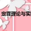 定罪理論與實踐（關于定罪理論與實踐介紹）