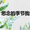 思念的季節我聽（關于思念的季節我聽介紹）