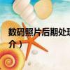 數碼照片后期處理全攻略（關于數碼照片后期處理全攻略簡介）