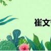 崔文智（關于崔文智簡介）