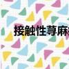 接觸性蕁麻疹（關于接觸性蕁麻疹簡介）