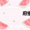 府組詞（府組詞有哪些）