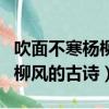 吹面不寒楊柳風的上一句是什么（吹面不寒楊柳風的古詩）