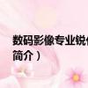 數碼影像專業銳化 典藏版（關于數碼影像專業銳化 典藏版簡介）