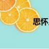 思懷鄉（關于思懷鄉介紹）