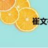 崔文植（關于崔文植簡介）
