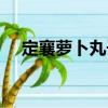定襄蘿卜丸子（關于定襄蘿卜丸子介紹）