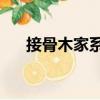 接骨木家系1（關于接骨木家系1簡介）