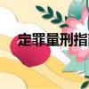 定罪量刑指南（關于定罪量刑指南介紹）
