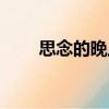 思念的晚上（關于思念的晚上介紹）