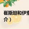 崔斯坦和伊索爾德（關于崔斯坦和伊索爾德簡介）