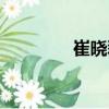 崔曉磊（關于崔曉磊簡介）