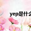 yep是什么梗（網絡語yep是什么梗）