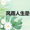 風雨人生是什么意思（風雨人生的意思）