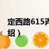 定西路615弄小區（關于定西路615弄小區介紹）