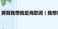 黃磊我想我是海歌詞(我想我是海整首歌詞)
