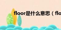 floor是什么意思(floor怎么讀)