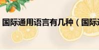 國際通用語言有幾種(國際通用語言的介紹)