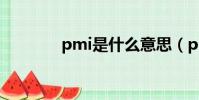 pmi是什么意思(pmi簡介)