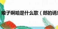 娘子啊哈是什么歌(郎的誘惑完整歌詞介紹)
