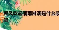 寒風吹起細雨淋漓是什么歌(這首歌你還記得嗎)