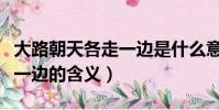 大路朝天各走一邊是什么意思(大路朝天各走一邊的含義)