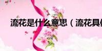 流花是什么意思(流花具體是什么意思)
