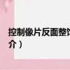 控制像片反面整飾和注記（關于控制像片反面整飾和注記簡介）